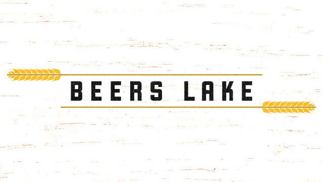 Preview image of 'Branding 10,000 Lakes'
